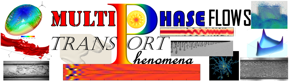 Multiphase Flow and Transport Processes